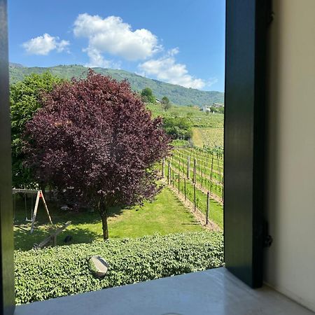 Casa Vacanze Ricca Vigna فالدوبياديني المظهر الخارجي الصورة